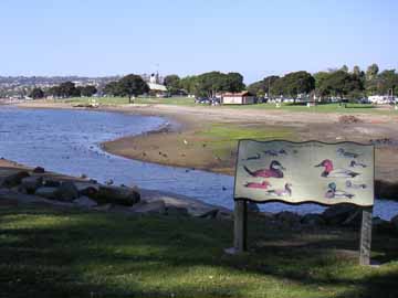 A popular spot to see migratory birds in winter