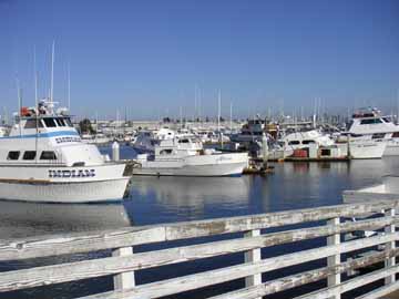 Point Loma sportfishing docks