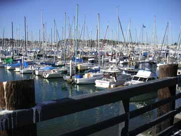 America's Cup Harbor